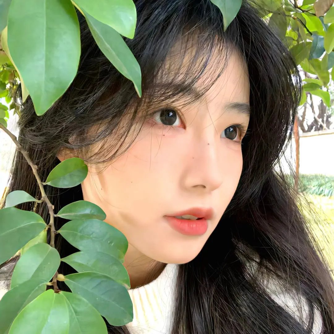 虎·破